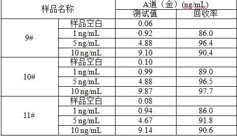 金索坤公司動態(tài)-泡沫的選擇b